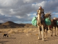 Bedouin cameleer, Wadi Nagawi, Sinai, Ben Hoffler, Go tell it on the mountain.jpg