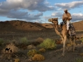 Cameleer in Wadi Nagawi, Sinai, Go tell it on the mountain, Ben Hoffler.jpg