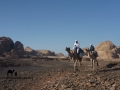 Camels near Wadi Mutamir, Go tell it on the mountain, Ben Hoffler.jpg