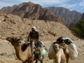 Ein Furtaga, Sinai, Go tell it on the mountain, Ben Hoffler.jpg