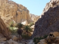 Ein el Guseib, Sinai, Go tell it on the mountain, Ben Hoffler.jpg