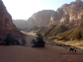 Hidden oasis, Farsh Fureh, Sinai, Go tell it on the mountain