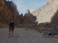 Melha Canyon, Sinai, Go tell it on the mountain