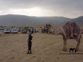 Muzeina boy & camel, Wadi Zelega, Go tell it on the mountain
