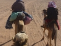 Riding camels, Wadi Ghazala, Go tell it on the mountain._result