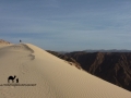 Sandy dune, Sinai, Go tell it on the mountain