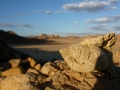 Seashell fossil, Wadi Mutamir, Sinai, Go tell it on the mountain, Ben Hoffler.jpg