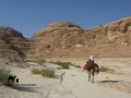 Wadi Mutamir, Sinai, Go tell it on the mountain_result
