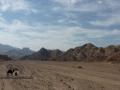 Walking Wadi el Abrag, Sinai, Go tell it on the mountain, Ben Hoffler.jpg
