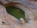 Waterpool, Jebel Berqa, Go tell it on the mountain