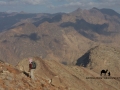 High on Farsh Tuta, Sinai, Go tell it on the mountain, Ben Hoffler.jpg