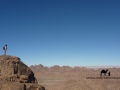 Jebel Jadayla, Sinai, Go tell it on the mountain_result
