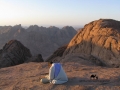 Jebel Safsafa, Sinai, Go tell it on the mountain_result