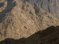 Jebel el Reeh, Sinai, Go tell it on the mountain, Ben Hoffler.jpg
