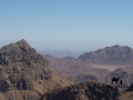 Mount Sinai & Umm Alawi, Go tell it on the mountain_result