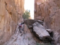 Wadi Sagr, Sinai, Go tell it on the mountain_result