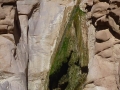 Waterfall, Sinai, Go tell it on the mountain_result