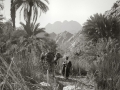 Wadi Feiran with man & camel, Sinai, Go tell it on the mountain