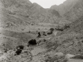 Wadi Tlah, Sinai, Go tell it on the mountain