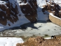 Frozen dam, Sinai, Go tell it on the mountain