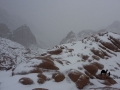 Sinai in the snow, Go tell it on the mountain_result