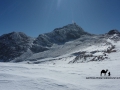 Snowy top of Jebel Katherina, Go tell it on the mountain_result
