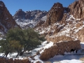 Wadi Tubug, Sinai, Go tell it on the mountain_result