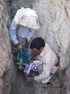 Bedouin getting water, Go tell it on the mountain_result
