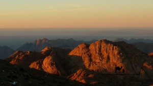 El Ahmar, Sinai, Go tell it on the mountain_result