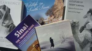 Sinai book compilation, Go tell it on the mountain