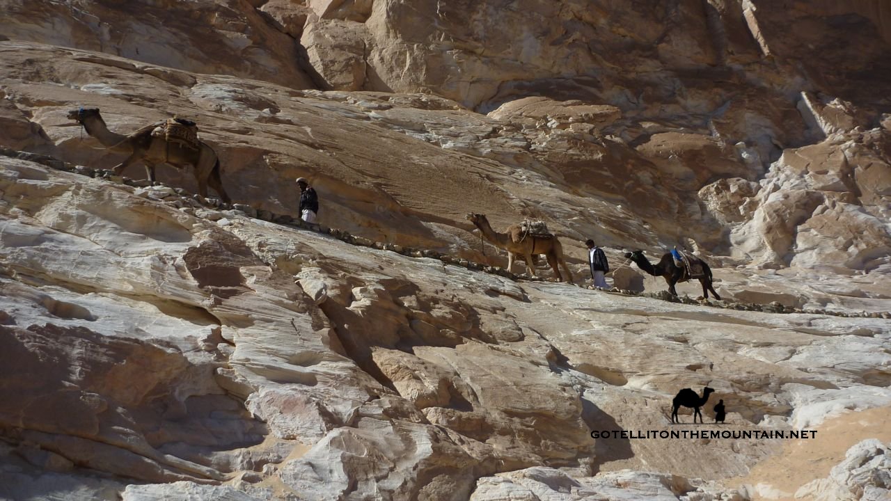 A high camel pass, Sinai, Go tell it on the mountain