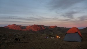 Camping in Sinai, Go tell it on the mountain_result
