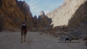 Melha Canyon, Sinai, Go tell it on the mountain
