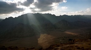 Wadi Raha, Sinai, Go tell it on the mountain_result