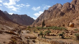 Wadi Talla, Sinai, Go tell it on the mountain_result