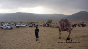 Bedouin jockey, Wadi Zelega