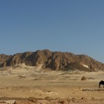 Jebel Barqa