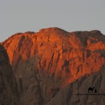 Jebel el Ahmar, Sinai, Go tel it on the mountain