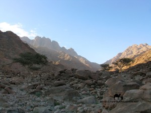 Wadi Ajela, Wadi Feiran, Go tell it on the mountain