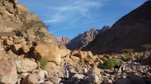 Wadi Sig Sinai, Go tell it on the mountain_result