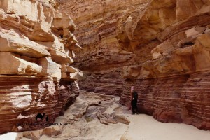 Abu Hamata Canyon, Sinai, Go tell it on the mountain, Leo Laimer