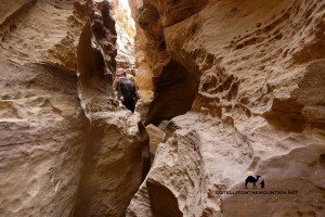 Abu Hamata Canyon Sinai, narrow section. Leo Laimer, Go tell it on the mountain