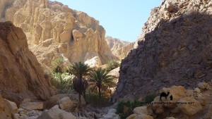 Ein el Guseib, Sinai, Go tell it on the mountain, Ben Hoffler